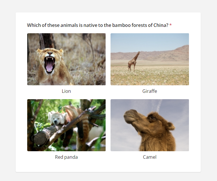 Survey Now Quiz Maker: Multi-Select Image Question