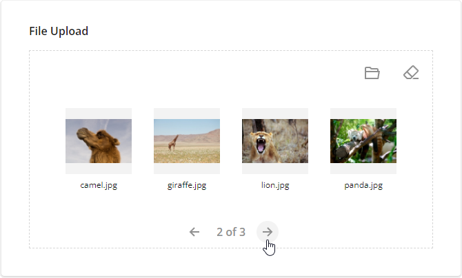 Survey Now Form Library: Gallery Preview Mode in File Upload questions