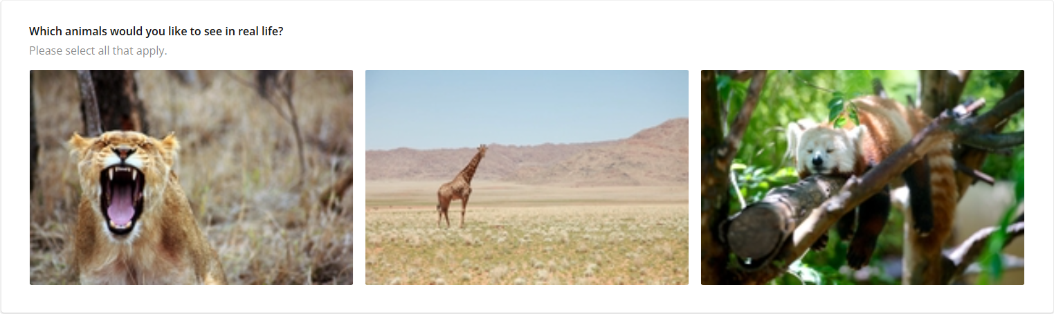 Survey Now Form Library: Image Picker occupying all available space