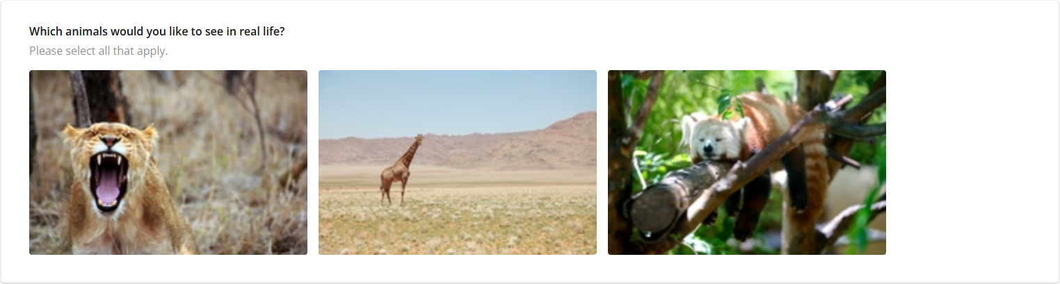 Survey Now Form Library: Image Picker with unused space