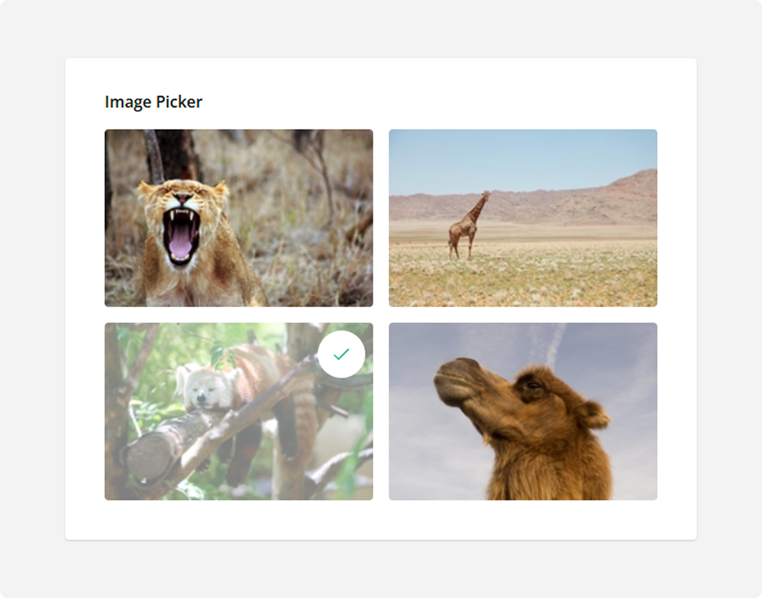 Survey Now Question types - Image Picker
